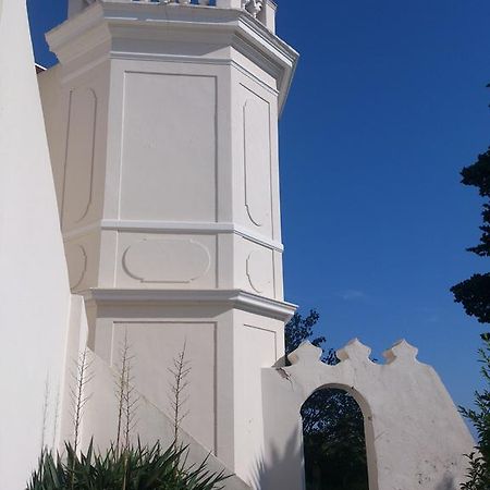 Villa-Chateau Les Terrasses - Tamaris, Plage Des Sablettes, Mer Au Bas De La Propriete 라센느쉬르메르 외부 사진
