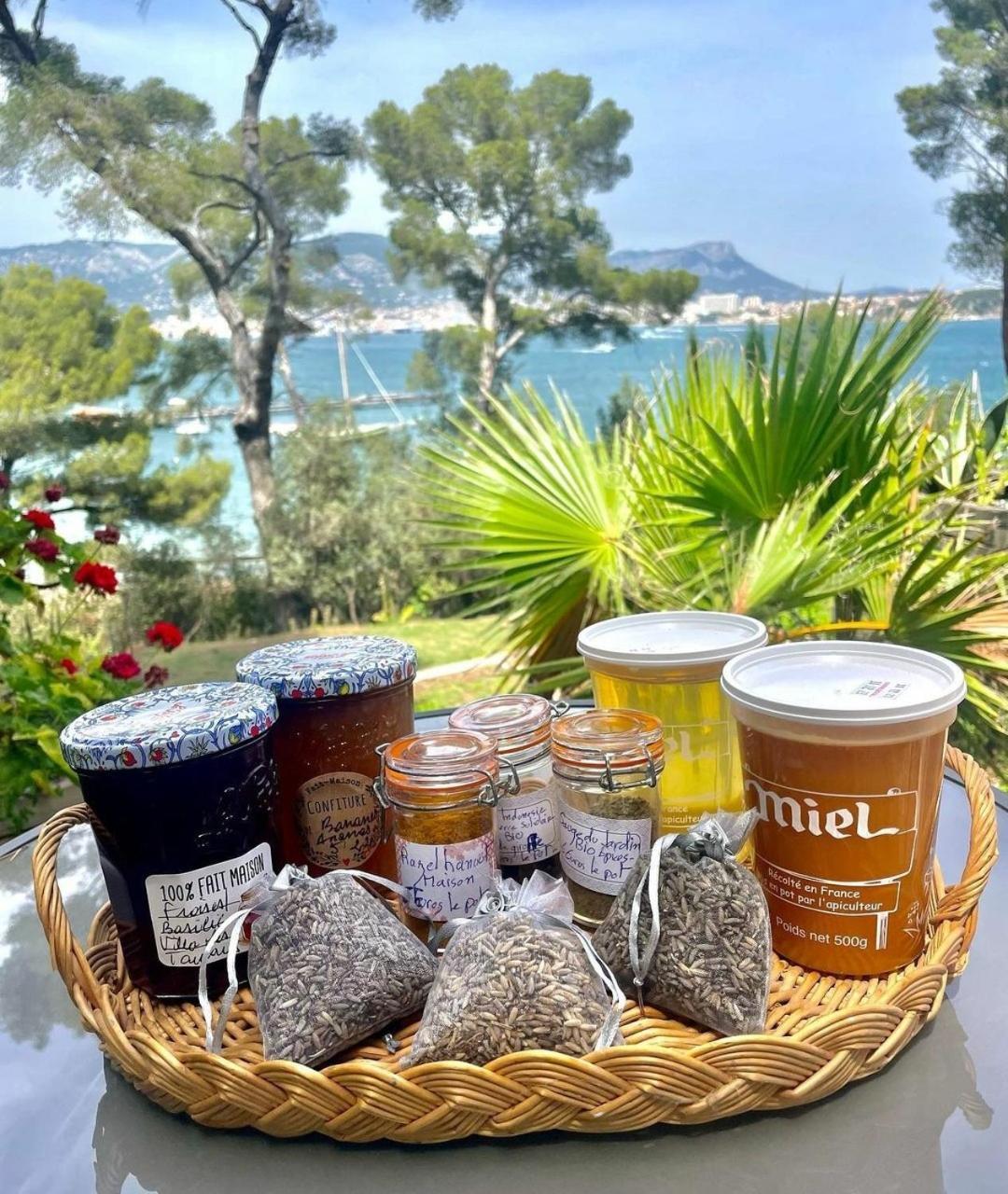 Villa-Chateau Les Terrasses - Tamaris, Plage Des Sablettes, Mer Au Bas De La Propriete 라센느쉬르메르 외부 사진